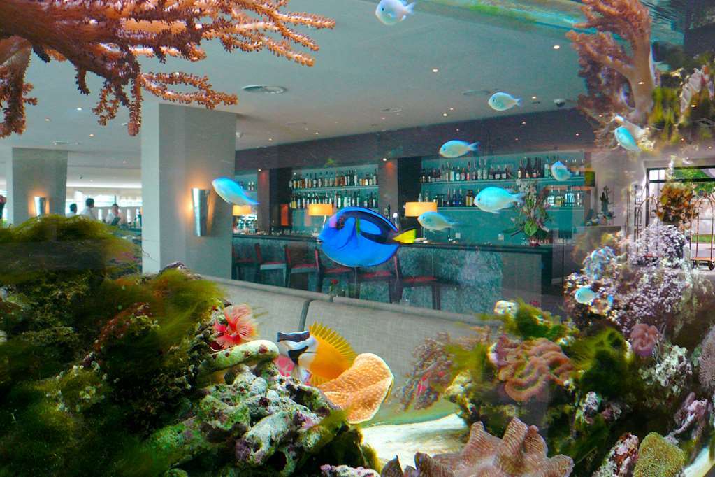 Hotel Beaulac 4*